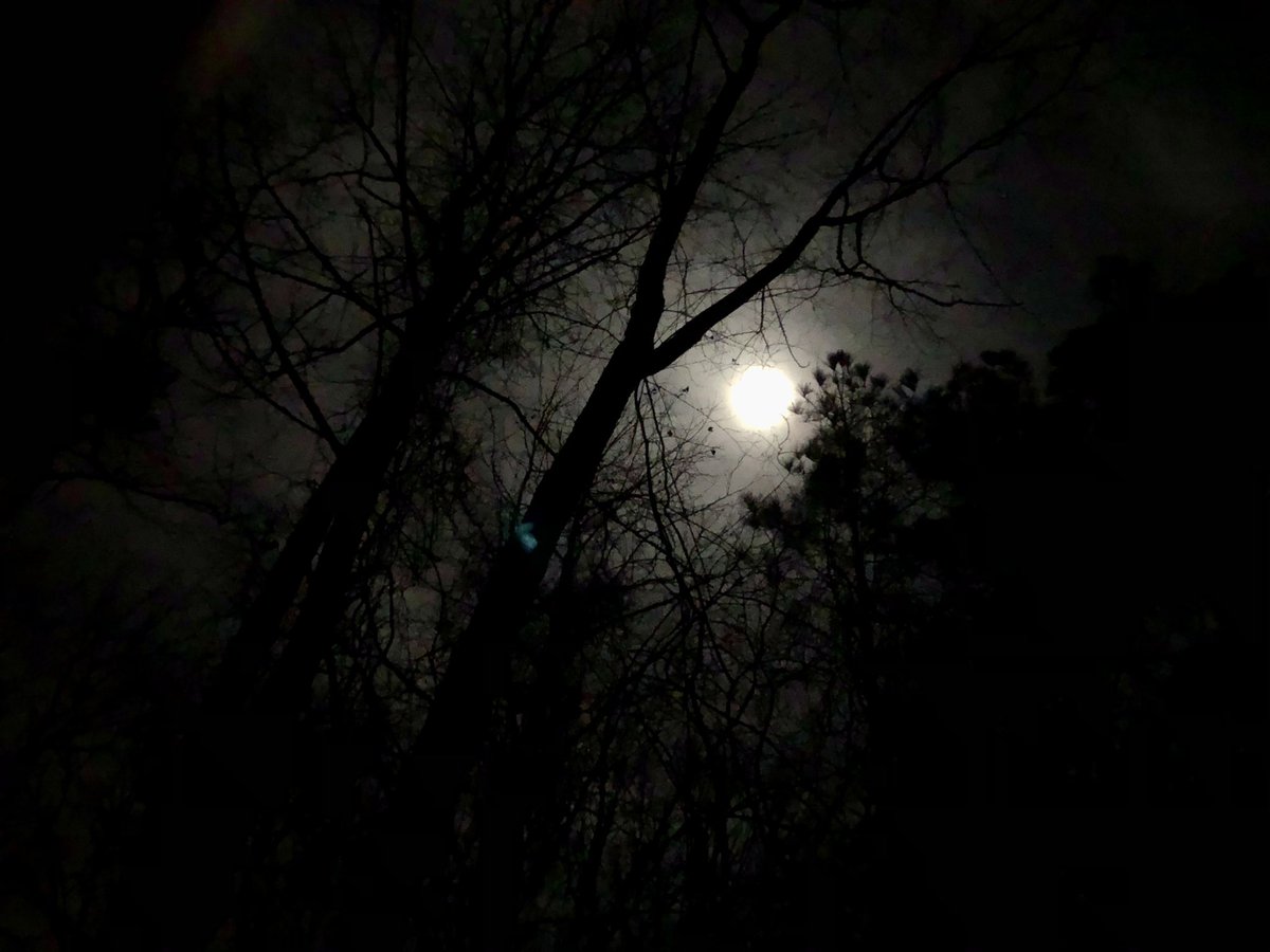 CrossbowKristy's tweet photo. Managed to get in my tree & up my climber early & with no bloopers; rabbits were moving before the sun came up & squirrels have been at it since daybreak β now for the #deer π€πΌ1.2.2021 - letβs do this! πͺπΌ #deerhunting #ravincrossbows #getoutside #bowhunter #shehunts #hunttoeat https://t.co/nAp6PjOcde