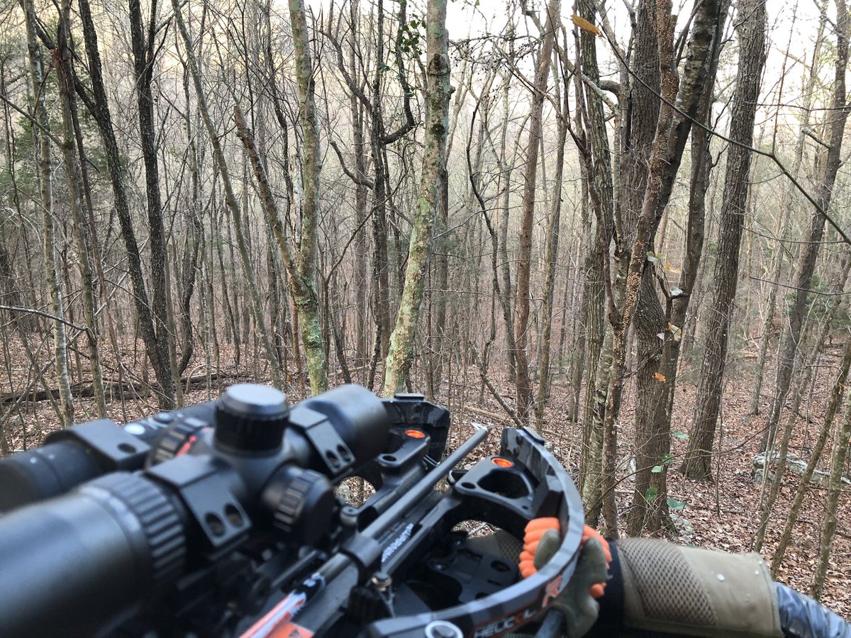 CrossbowKristy's tweet photo. Managed to get in my tree & up my climber early & with no bloopers; rabbits were moving before the sun came up & squirrels have been at it since daybreak β now for the #deer π€πΌ1.2.2021 - letβs do this! πͺπΌ #deerhunting #ravincrossbows #getoutside #bowhunter #shehunts #hunttoeat https://t.co/nAp6PjOcde