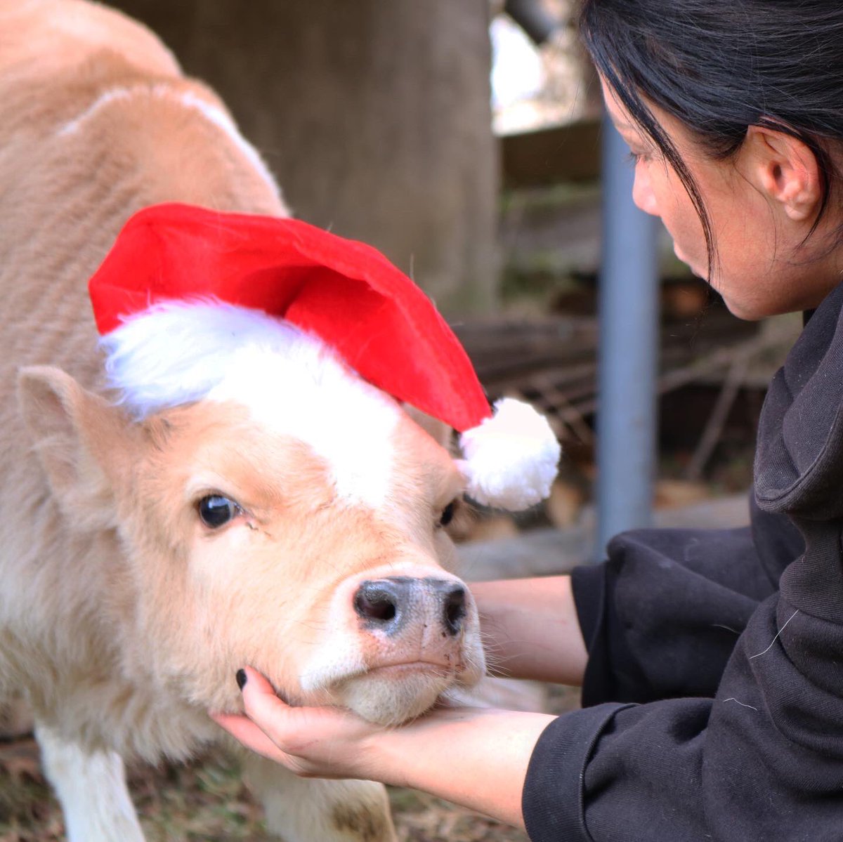 Fashion Vibes tweet media