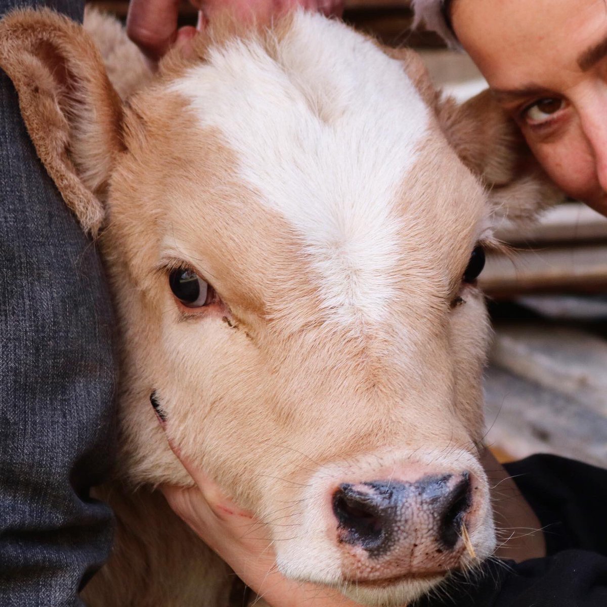 Fashion Vibes tweet media