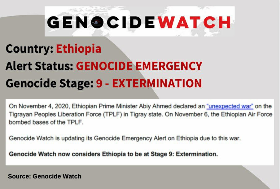 HayelomTad's tweet photo. We must put an end to this! We must activate to save our people. @AbiyAhmedAli look at what you have done. When brothers/sisters fight - they don't invite their neighbors to burn down the house or try to kill one another.

#TigrayGenocide https://t.co/08QKFop1BC