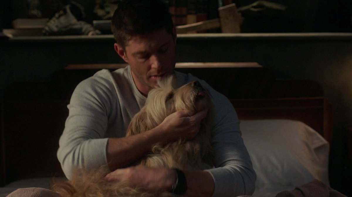 dean being domestic: a thread