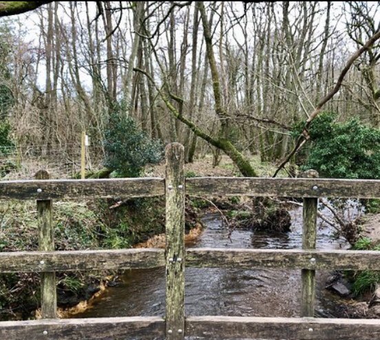  #CalisGrandTour Cali  , here are sum sticks furr yoo.  #teambengal here ar sum furr yoo too. Dis is de eggsact bridge forum de books.