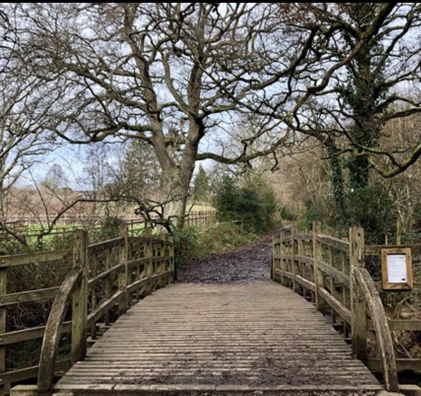  #CalisGrandTour Cali  , here are sum sticks furr yoo.  #teambengal here ar sum furr yoo too. Dis is de eggsact bridge forum de books.