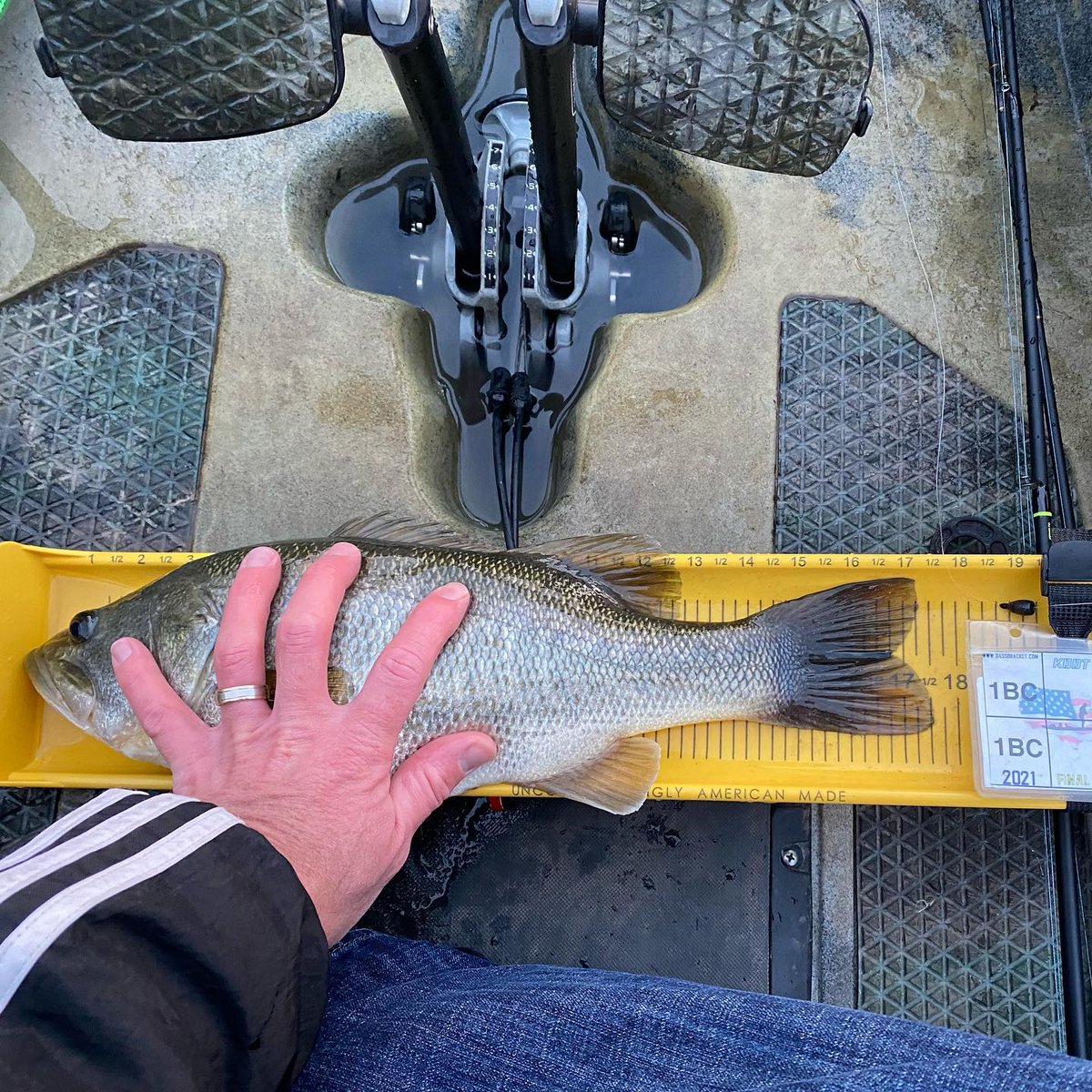 techguyfishing's tweet photo. Not a bad way to start out the new year. First two bass of 2021!
#bass #bassfishing #kbbt #techguyfishing https://t.co/WzGJ9XzRj1