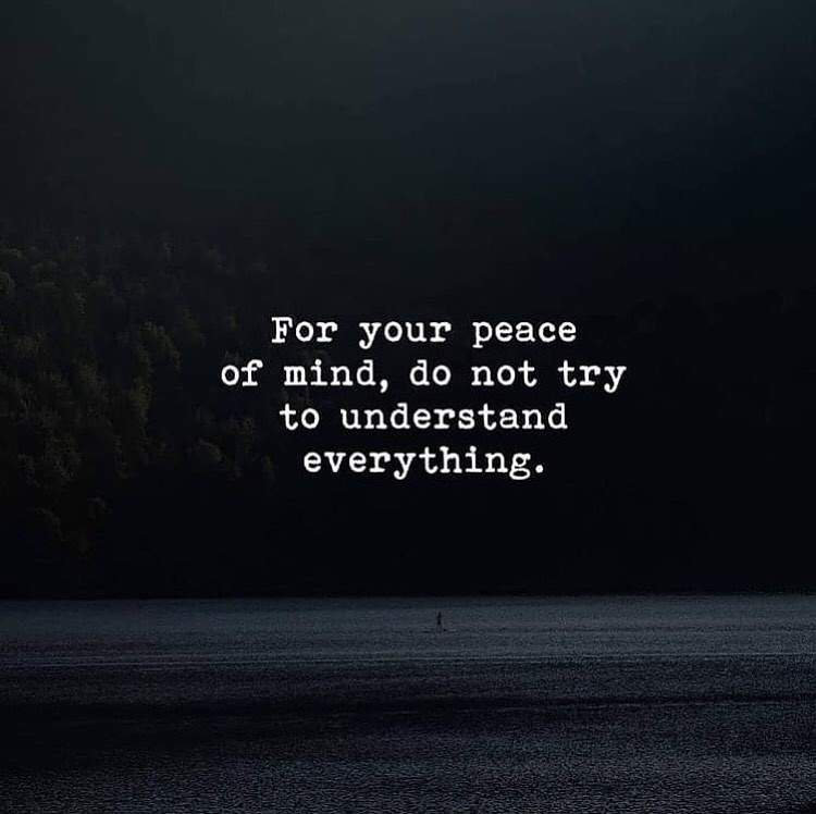Kafanın rahat olması için her şeyi anlamaya çalışmayacaksın.

Peace of mind: Gönül rahatlığı, iç huzur, kendisiyle barışık olmak, kafanın rahat olması