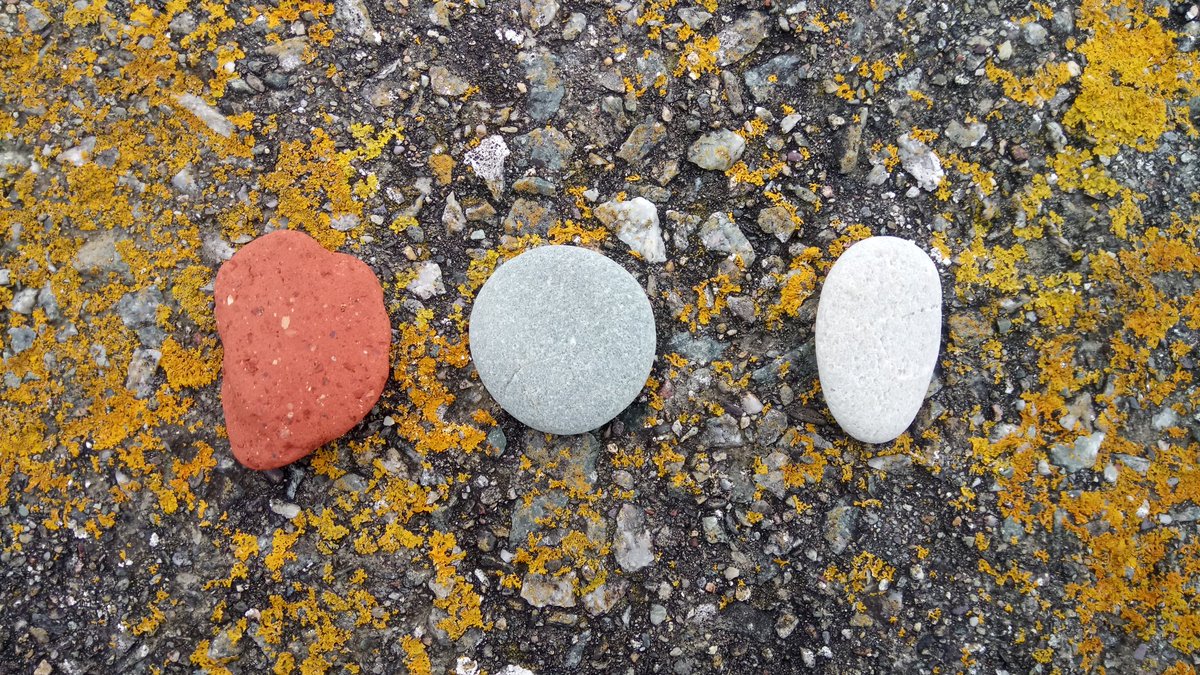 Dr Caitlin Greenwood (@caitlingreenwo9) on Twitter photo 