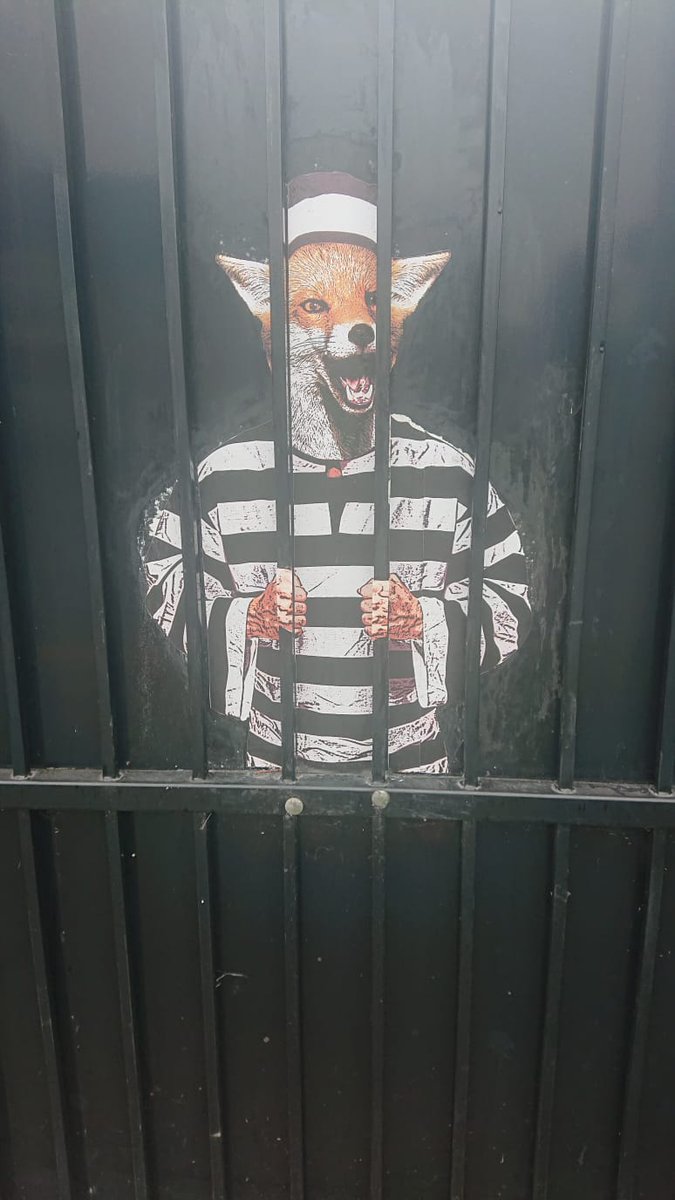 Spotted in #Enfield earlier. Sad someone's meddled with skateboarding fox. Who is the brains behind these beauties? #Ldnstreetart #graffitilondon @StreetArtLondon