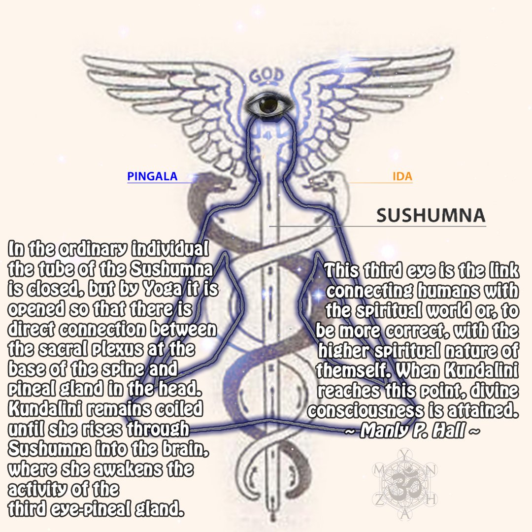 For those who question the occult significance of N,N Demethytriptmine (DMT) & the endogenous source which secretes trace amounts, the "third eye" of Horus/Ra/Lucifer, is the Pineal Gland. According to Occult Rosicrucian, Hermetic Scholar Manley P. Hall 33rd deg. Freemason.