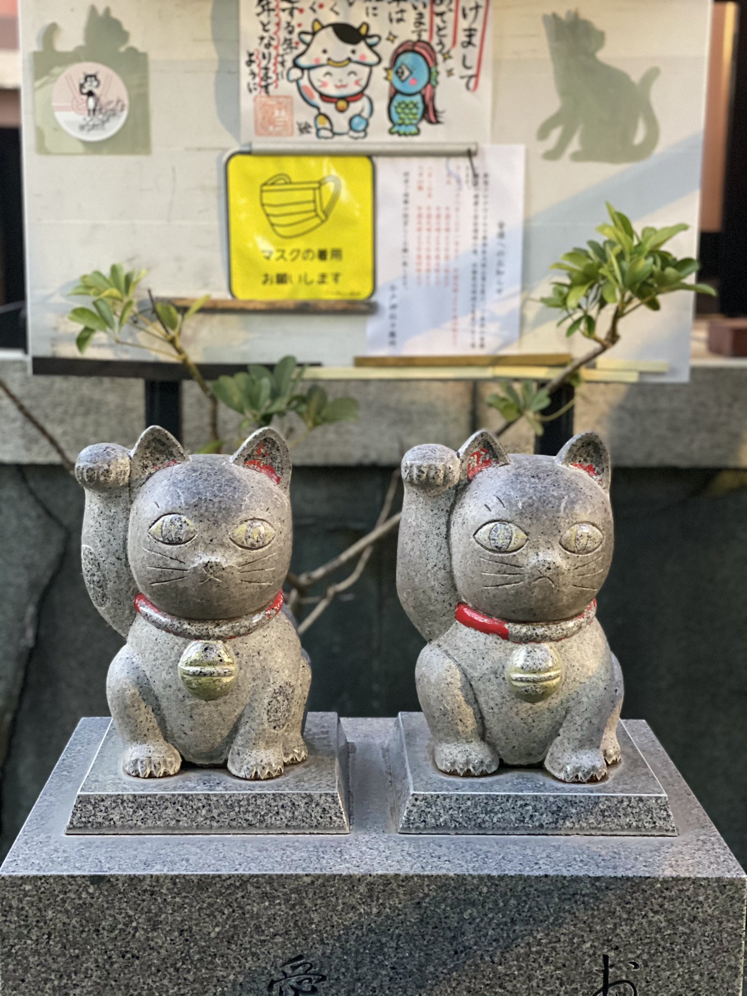 今戸神社の白猫 Twitter Search Twitter