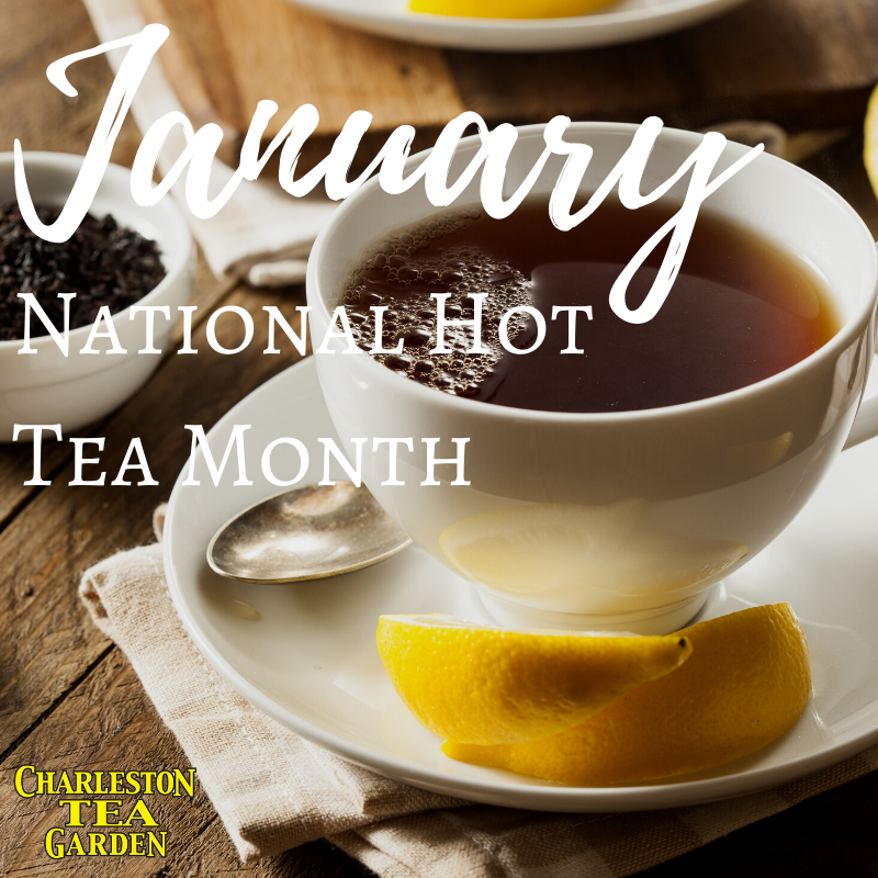 January might be #NationalHotTeaMonth, but that doesn’t stop us from sipping all year long. ☕️