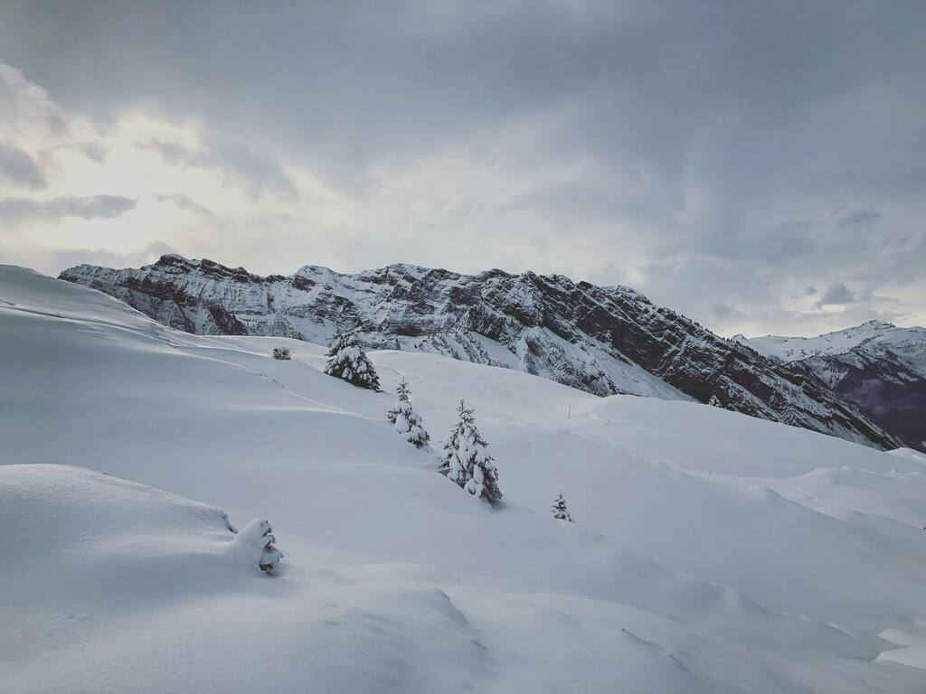 MintSnowboard's tweet photo. Another incredible day in the local backcountry 👌
#splitboardingistheanswer #mintsnowboarding https://t.co/41rmVc7D5r https://t.co/7rcJ0Gt6tv