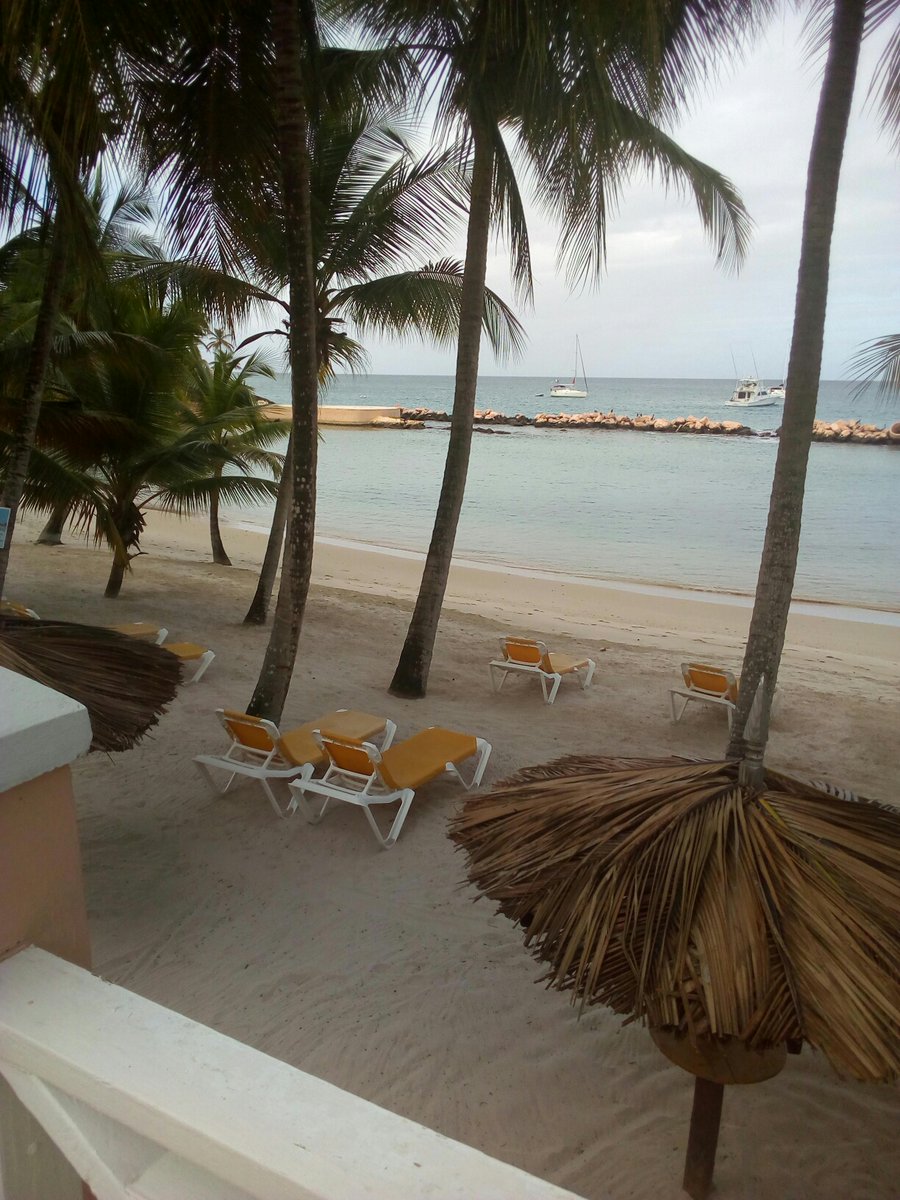 Coco Reef - Tobago tweet media