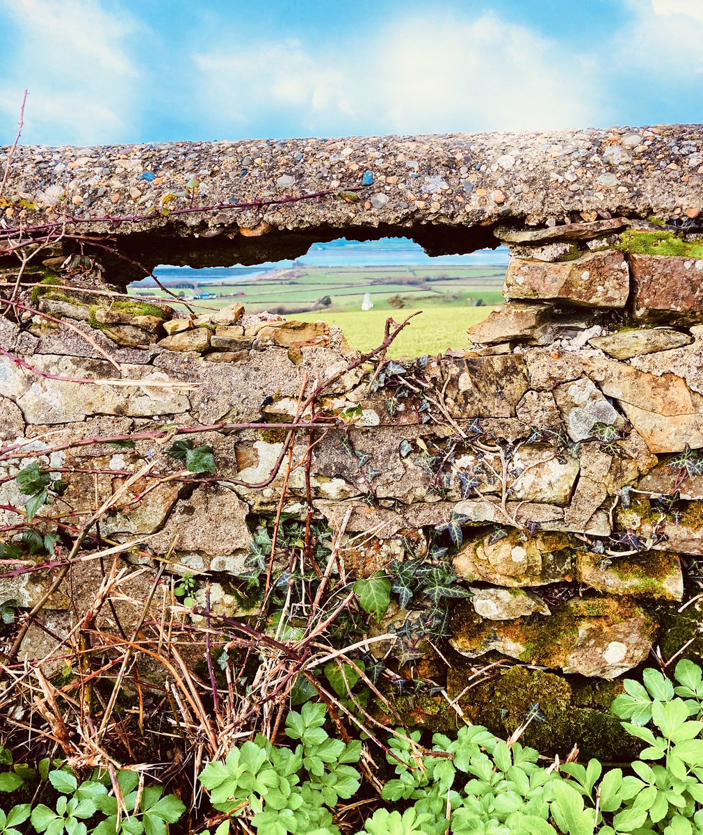 We just couldn’t resist this perfect (and slightly unique!) photo opportunity! 

#nature #NaturePhotography #photographylovers