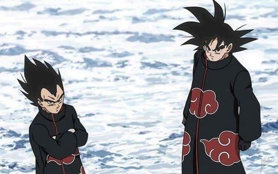 SLamroo's tweet photo. Si ces deux là aurait été dans l'akatsuki, Naruto aurait duré 1 épisode 😂 https://t.co/D6UTRptLsE