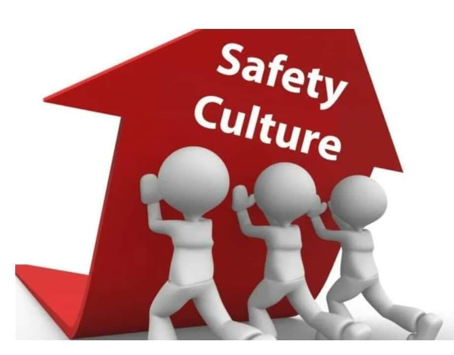 Safe Root Services Limited on Twitter: 