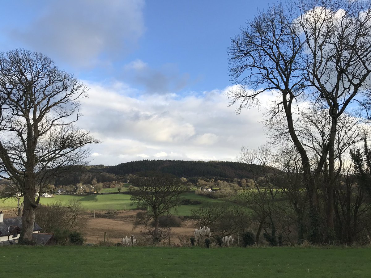 Exploring Afon  #Nodwydd  #Anglesey - Mynydd Llwydiarth with a red squirrel  population and a prehistoric hill fort stands above the river valley  #StayingLocal  #Covid19  #RiversOfWales  #landscape  #Wales  #thread