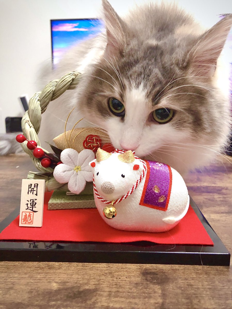 polyloop's tweet image. 謹賀新年