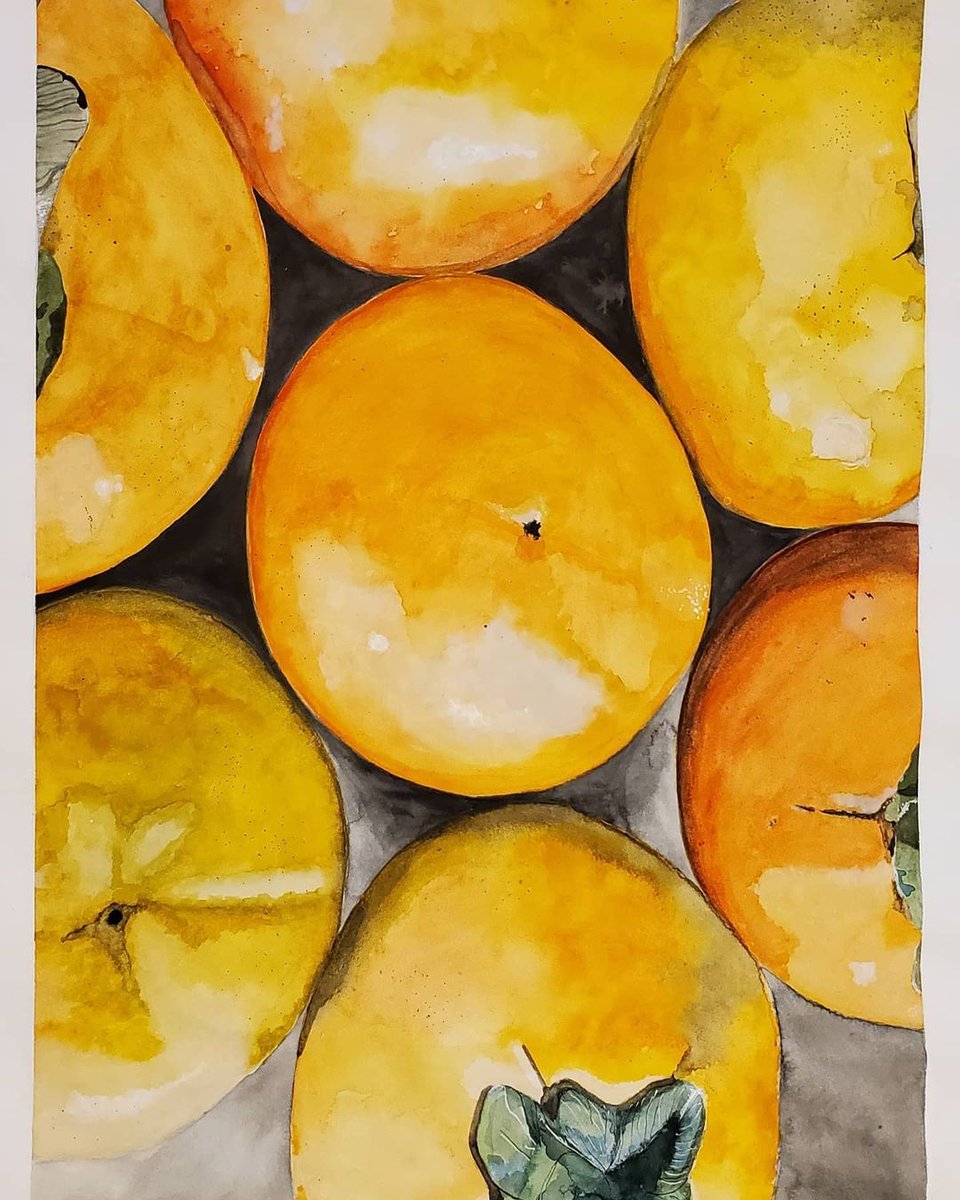 NtlPortfolioDay's tweet image. We love a good #watercolor study! Thanks to @mrspiers_art (on Instagram) for sharing beautiful student work! Persimmons anyone? 🥭🍊🍋
#fruitstudy #basicpainting #highschoolart #highschoolartteacher #bluehawkart