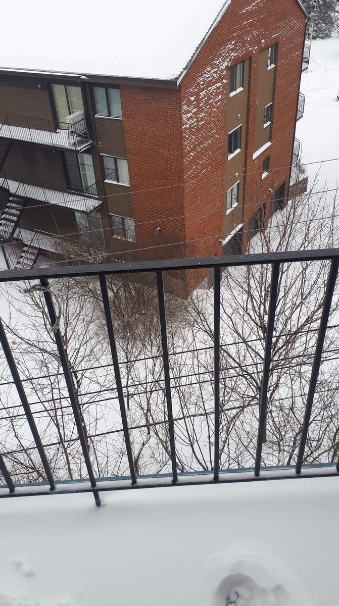 Montréal ce matin, manteau de neige de 25 cm.