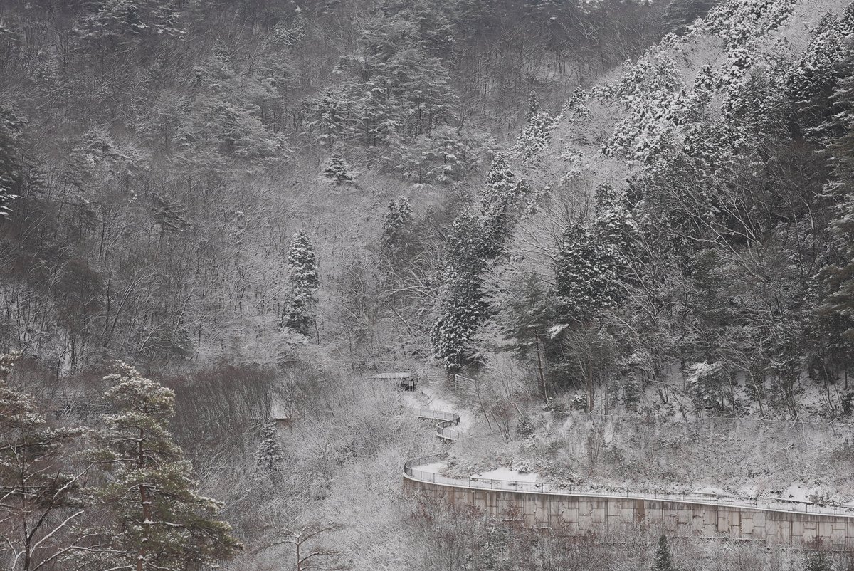 ichi4each's tweet photo. #地元 #雪 #岐阜県 #初撮 https://t.co/X2DnoSxo2N