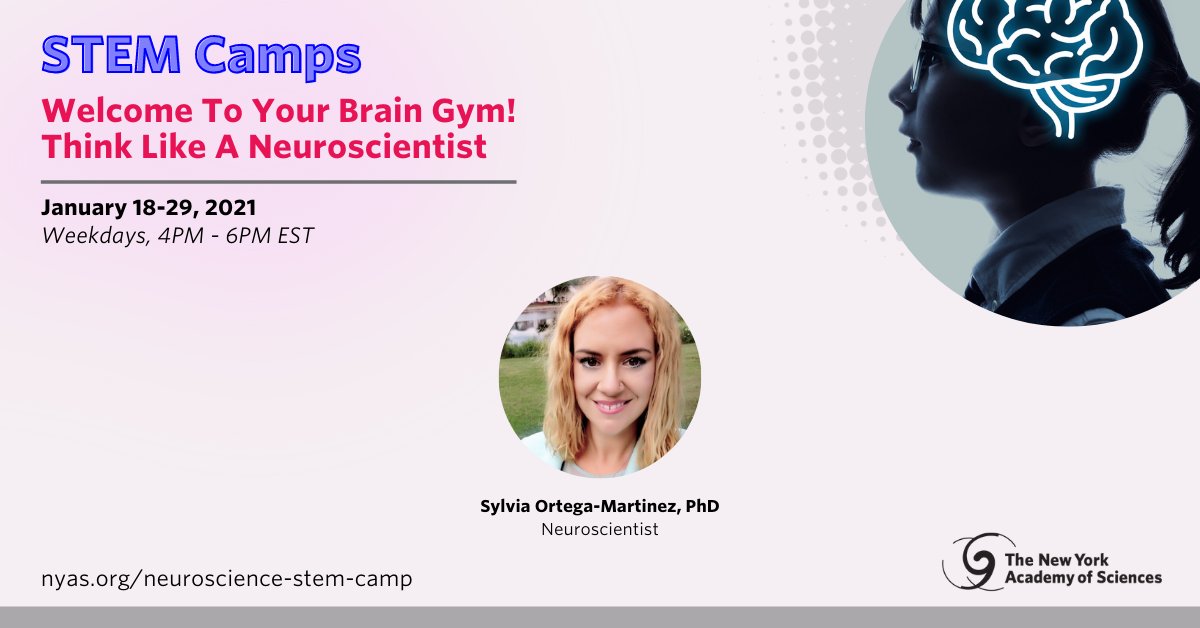 NYASciences's tweet photo. At our upcoming #VirtualSTEMCamp, learn about the concept of neurogenesis and its importance in mental health disorders, while exploring lab methods commonly used by neuroscientists to study brain processes. Learn more and register at: https://t.co/z3E3EPNTjl #Neuroscience https://t.co/ukD8vk8zvR