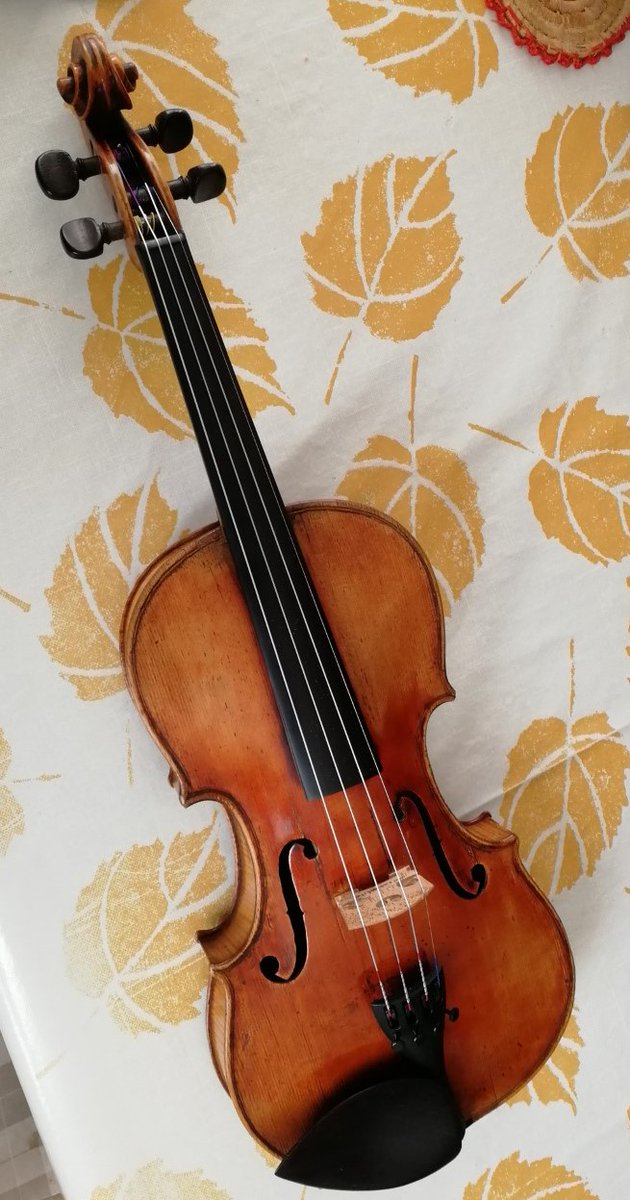 melieleroux's tweet photo. 🧐Avis de recherche: VIOLON volé + 2 étuis (Bauer et concerto gewa noir) à Rennes. Merci pour votre aide! #bergonzi🎻#violon #violinist #violin #classicalmusic #Classic #violinista #luthier #luthiery #luthiers #lutheria #violinmaker #instrumentenbauer #geige #glaaf #aladfi #anipo https://t.co/nVS6bIJRit