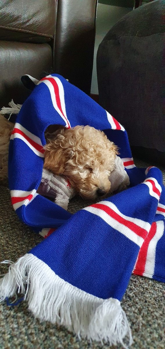 jdbirdieboy's tweet photo. Time for a nap well done the teddy bears  💙 https://t.co/33CCLfkoor