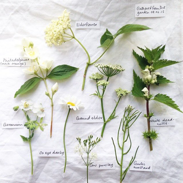 Turns out looking at my twit photos might help you work. This is a good thought x