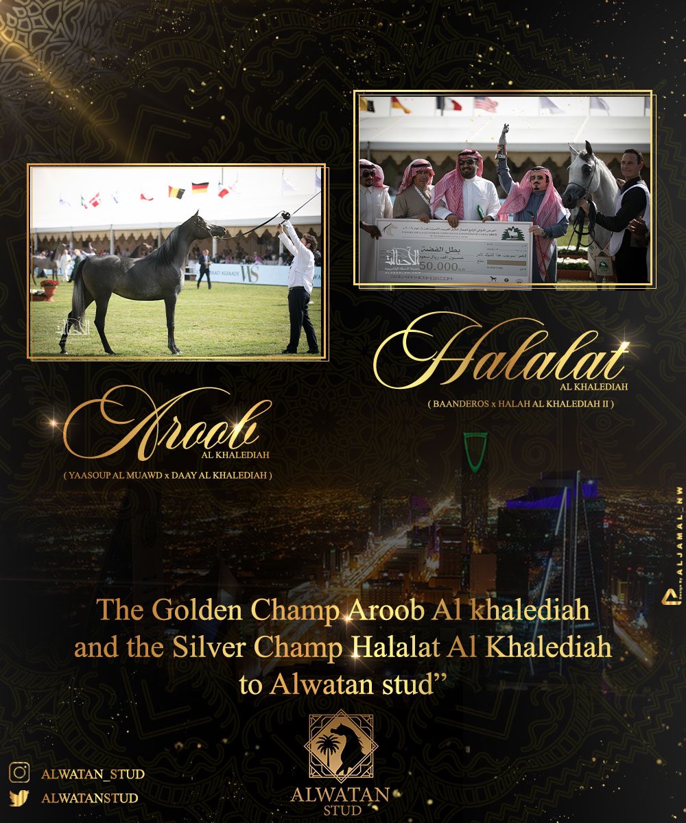 مربط الوطن tweet media