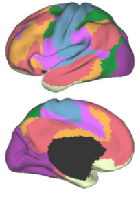 Typically networks in the brain are viewed as disjoint or non-overlapping. This means that a brain region belongs to one and only one network as in the classic Yeo networks.