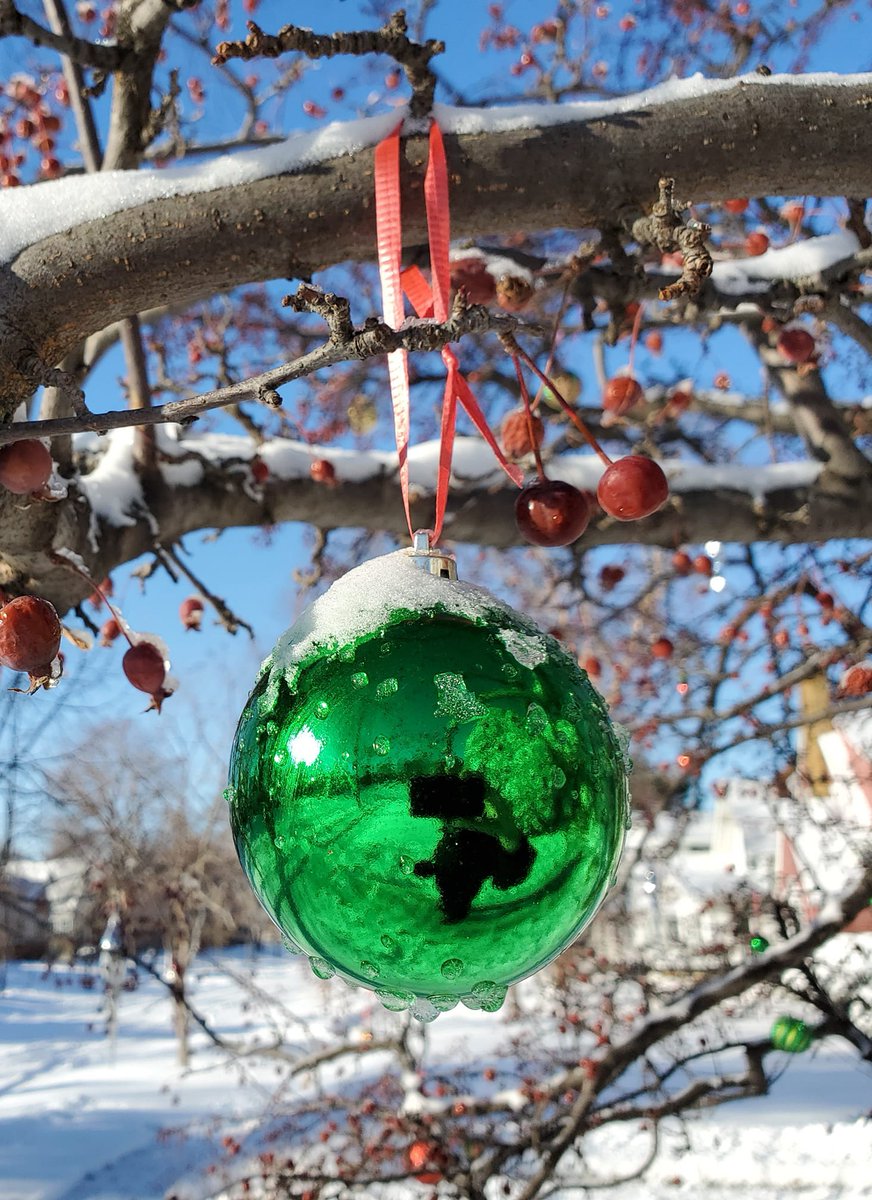 single bright ornament in snowy landscape. (click to view entire photo; it's worth it!) #winter #snow #photography #OnlyinMN #SaintPaul #Minnesota #SnowHour #StormHour #ThePhotoHour / @SnowHour @EarthandClouds @EarthandClouds2 @weather__pics https://t.co/GEEpDgILdV