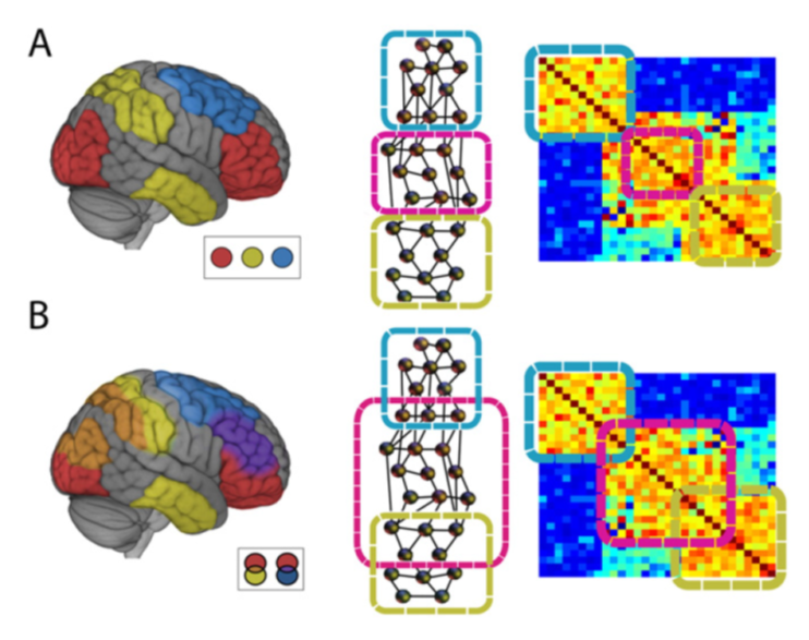 But we can also partition the brain in *overlapping networks* that allow brain regions to belong to multiple networks simultaneously, so they can dynamically affiliate with different brain regions. (A) Traditional partitioning scheme; (B) overlapping. https://www.ncbi.nlm.nih.gov/pmc/articles/PMC4915991/