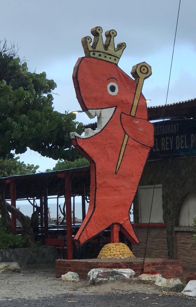Que el espiritu del Rey del Pescado Frito las acompañe a todos y los ilumine en el 2021. Y que además acabe con la pandemia!