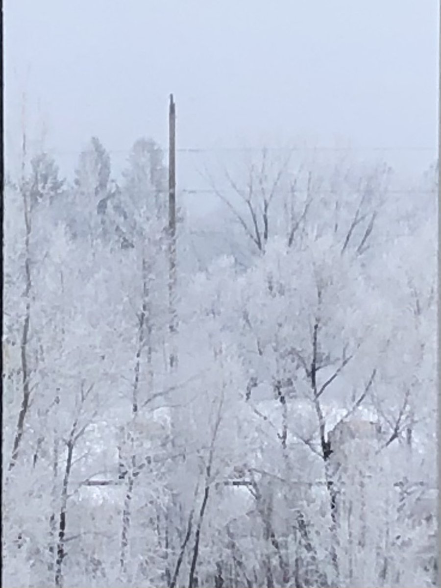 #Minnesota #FrozenFog is absolutely beautiful. #NaturalBeauty #Weather #Snow #natureisamazing https://t.co/vi9U6US7ef