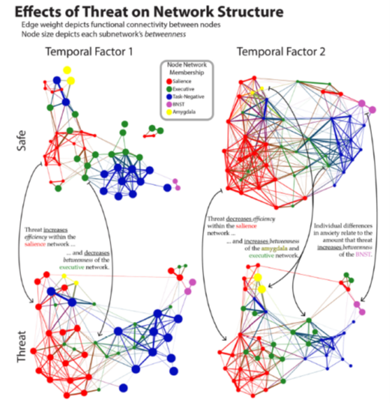 As an example, consider an experiment with temporally extended threat of shock. We found a reorganization of the canonical networks (default, salience, executive) as the "threat block" was experienced. https://www.jneurosci.org/content/jneuro/34/34/11261.full.pdf