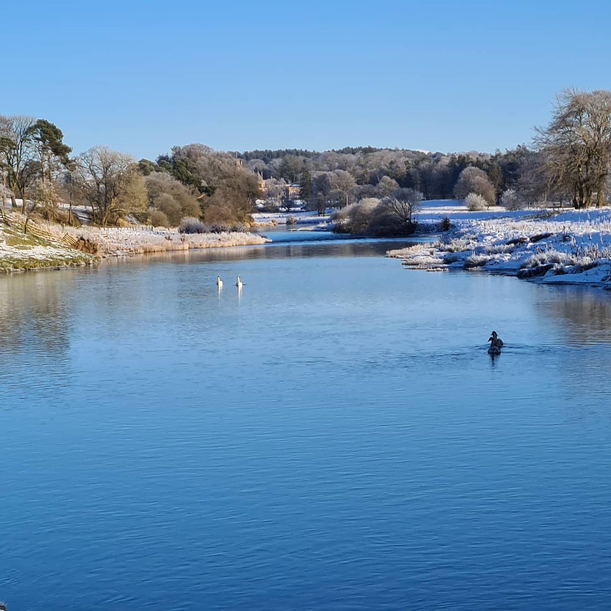 Kenny Lean (@lordcornet09) on Twitter photo 