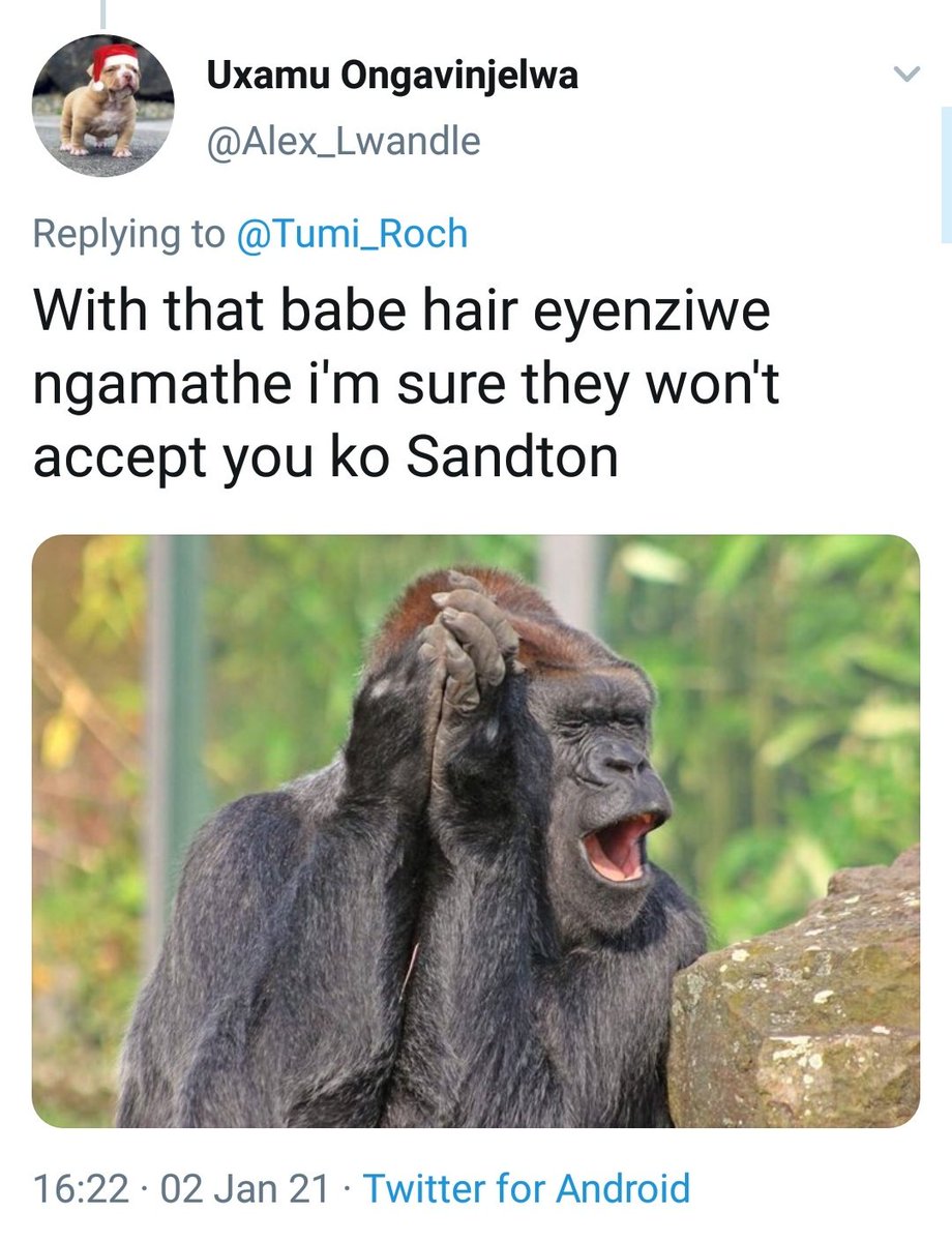 Then Tumi tried shaming CBD Twitter, boy did they not have her balls for breakfast 