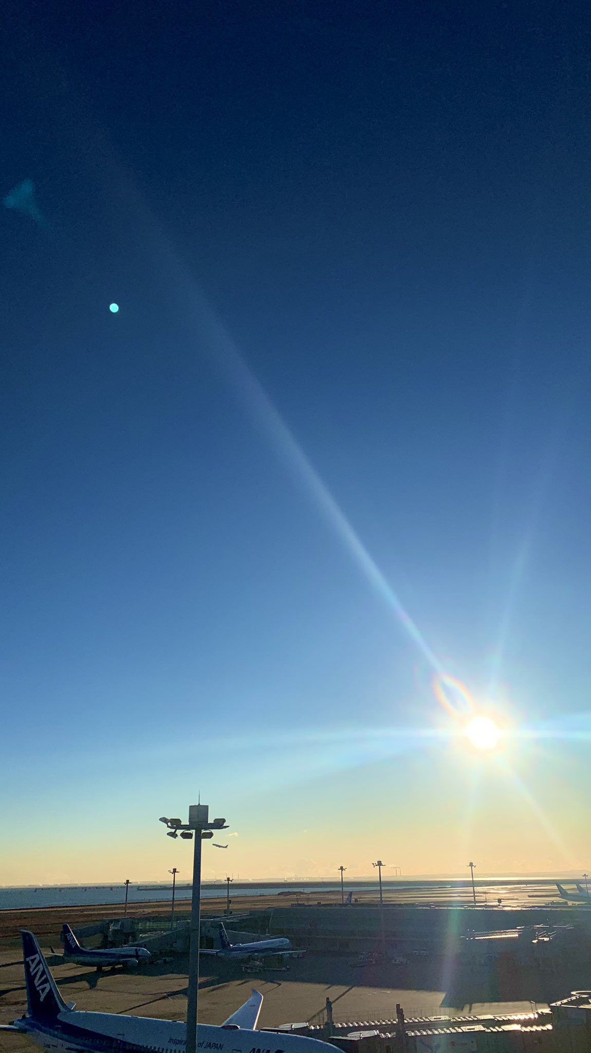 ねこハンド 初日の出を待ち受けにして運気 Up 願い事に合わせて太陽を写す位置を変えるのがポイントと琉球風水師のシウマ氏 左上 出会い 中央上 勝負 左中段 仕事 右下 金運 元旦でなくても自分が最初に見る 初日の出で良いそうなので 明日は ねこハンド 初日の出を待ち受けにして運気 Up 願い事に合わせて太陽を写す位置を変えるのがポイントと琉球風水師のシウマ氏 左上 出会い 中央上 勝負 左中段 仕事 右下 金運 元旦でなくても自分が最初に見る 初日の出で良いそうなので 明日は