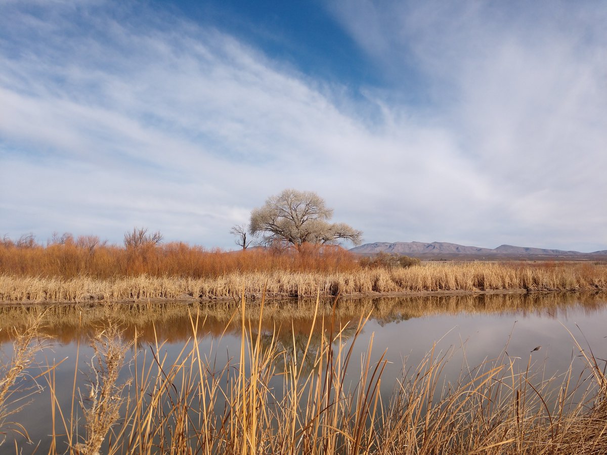 allthedatas's tweet image. Started the New Year with a walk along the Rio Grande. Nice to see some water along this stretch.