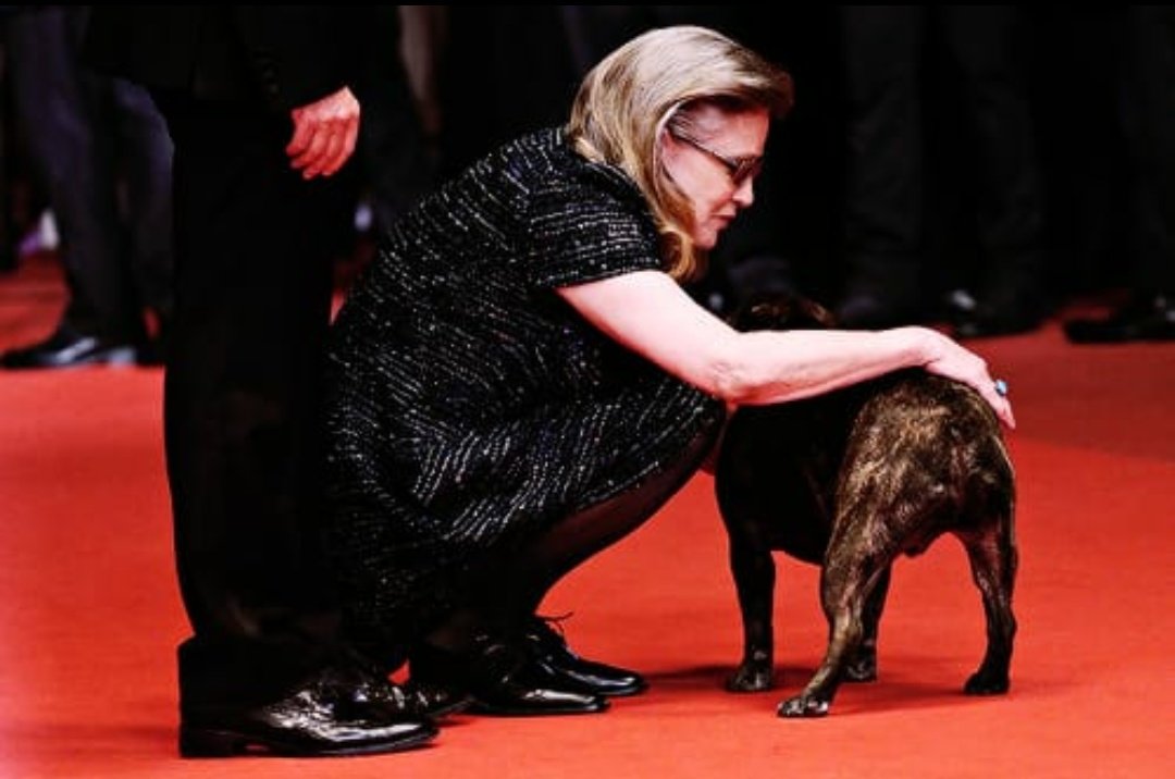 carrie fisher as baby yoda (grogu); a thread.