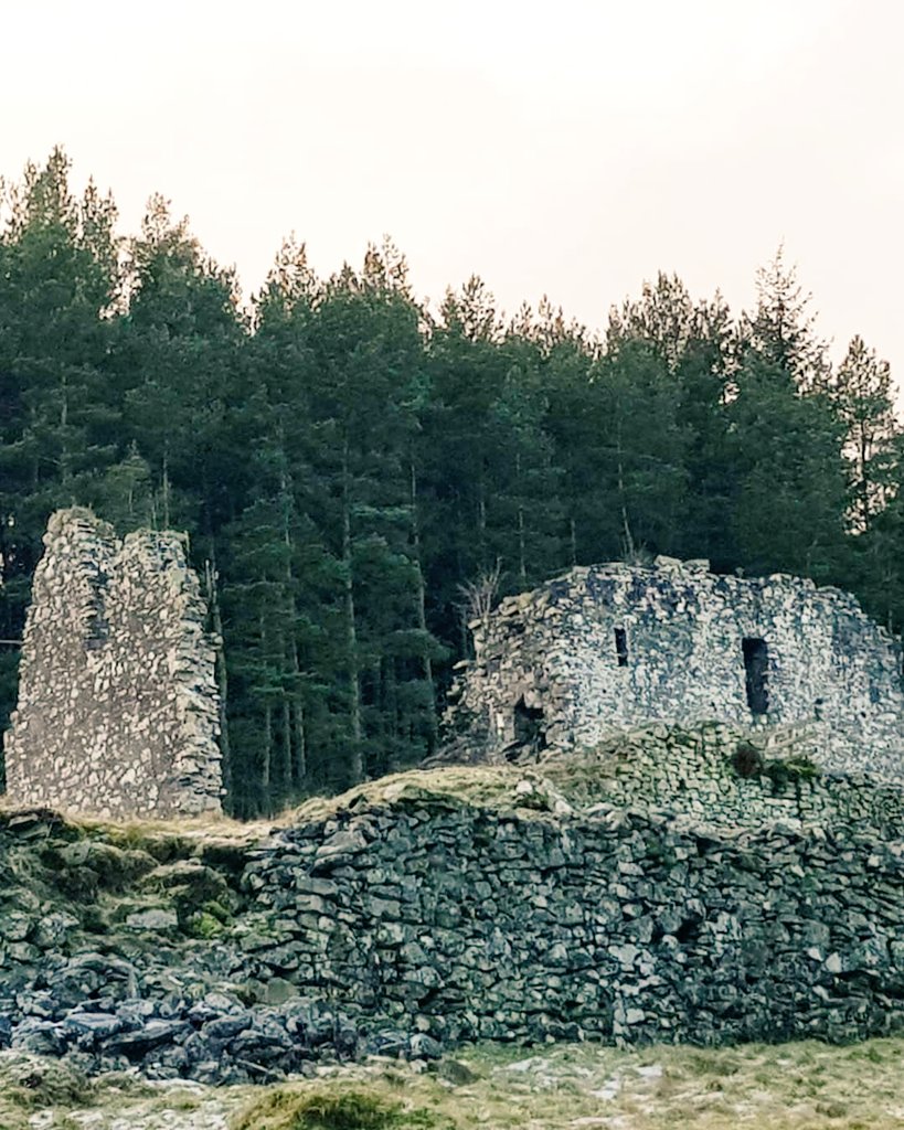 blonde_on_bikes's tweet photo. Out and about exploring on the Mountain bike. #cuteponies #elibankcastle #scottishborders #Mountainbiking #DoddiAid https://t.co/TCEKuwG69m
