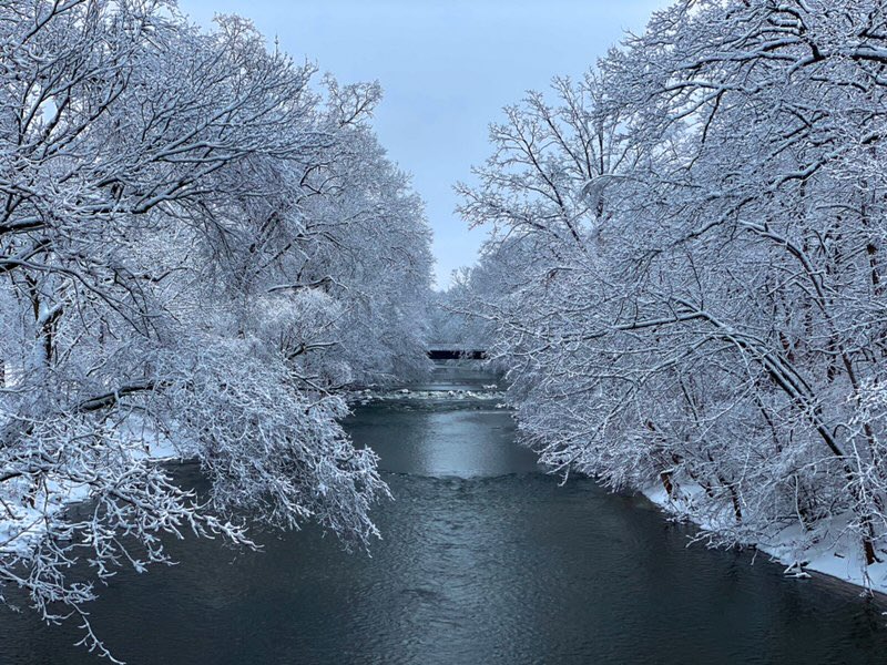 michiganstateu's tweet photo. In case you’re missing campus today. 💚 https://t.co/T7al7QTD1I