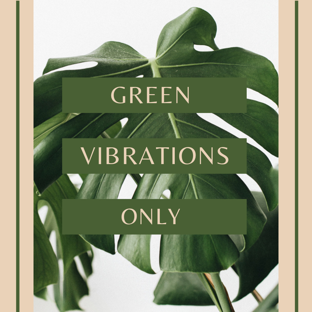 HausAHome's tweet photo. 🌿New year, green mindset 🌿

 #hausahome #homedecor #homeaccesories #ecofriendly #environmentallyfriendly  #smallbusiness #womenentrepreneur  #sustainablegoods #sustainability #goodfortheplanet #sustainablebrand #lifestyle #sustainablelifestyle #lowwasteliving #zerowaste #z https://t.co/KpQfdVWNdw
