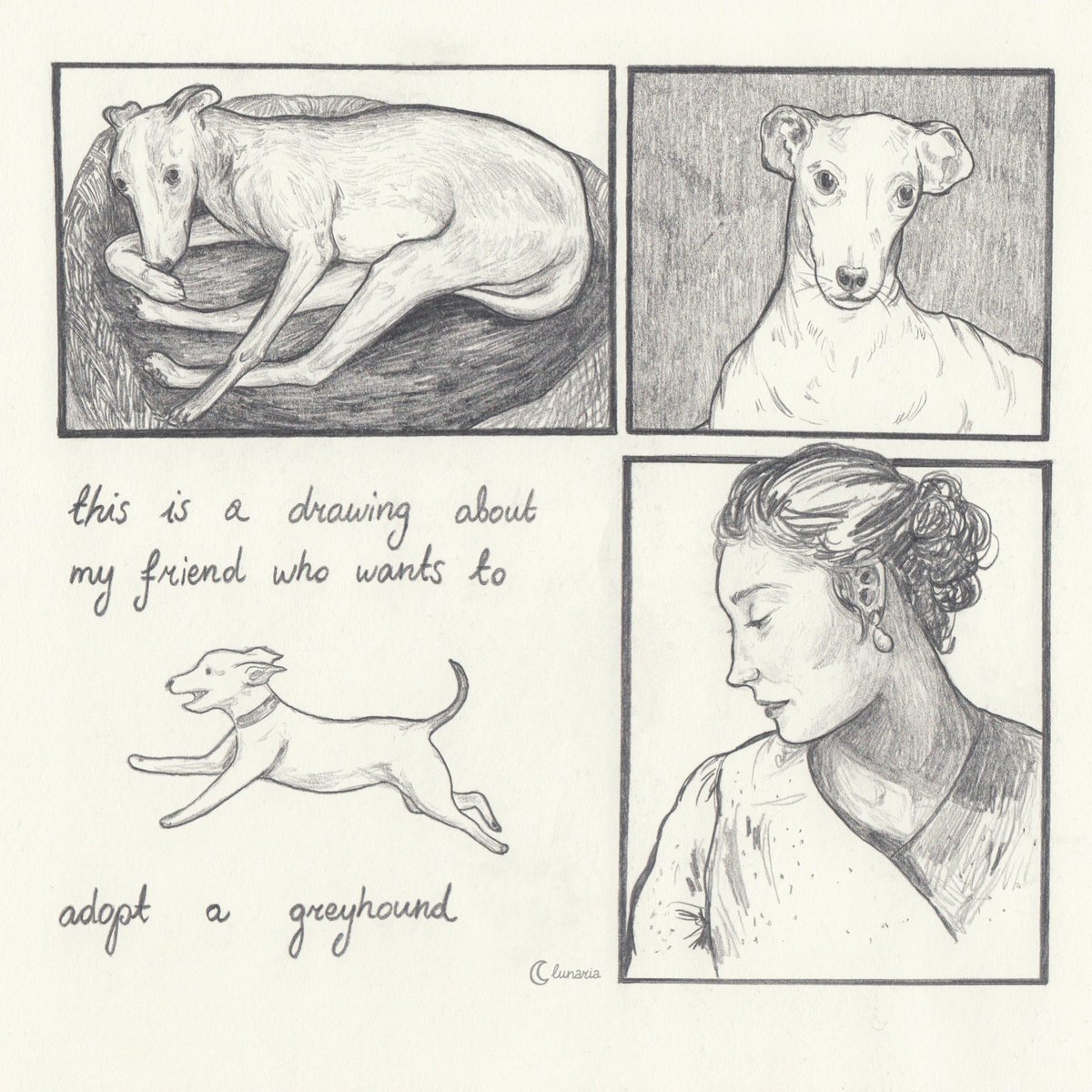 #firstdrawingin2021 ✨
#greyhound #pencilsketch #illustration #graphite #pencilart #newsketchbook #moleskine