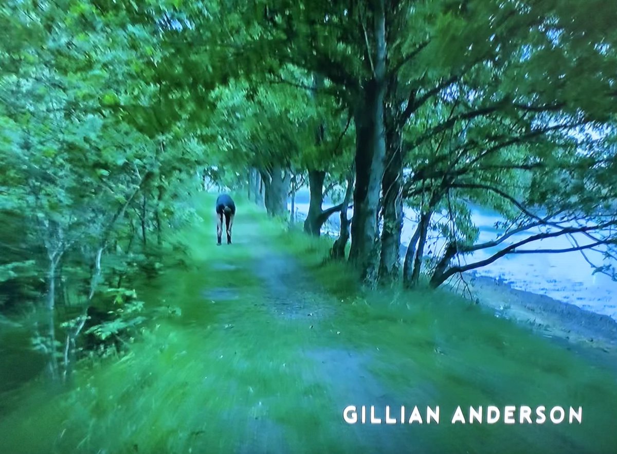 1x04 - My Adventurous Songinexplicably, they left out Jamie's credit in this episode (french BD edition)