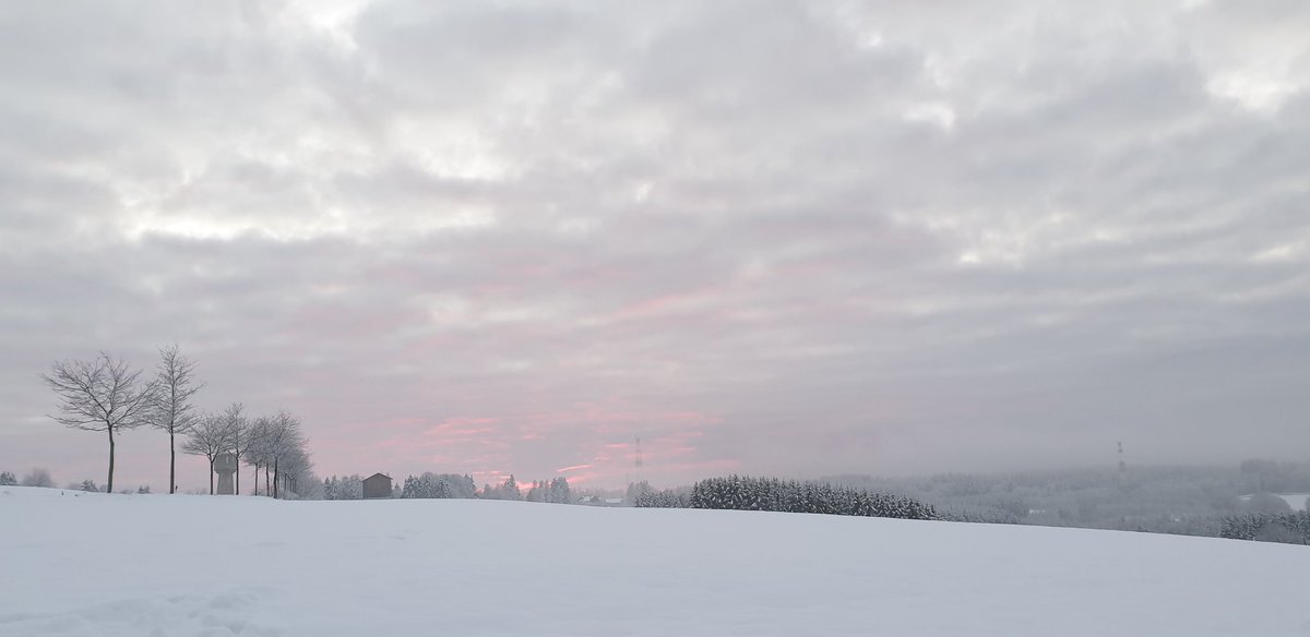 Petit pays je t'aime beaucoup