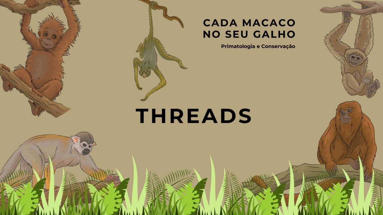 Cada macaco no seu galho!