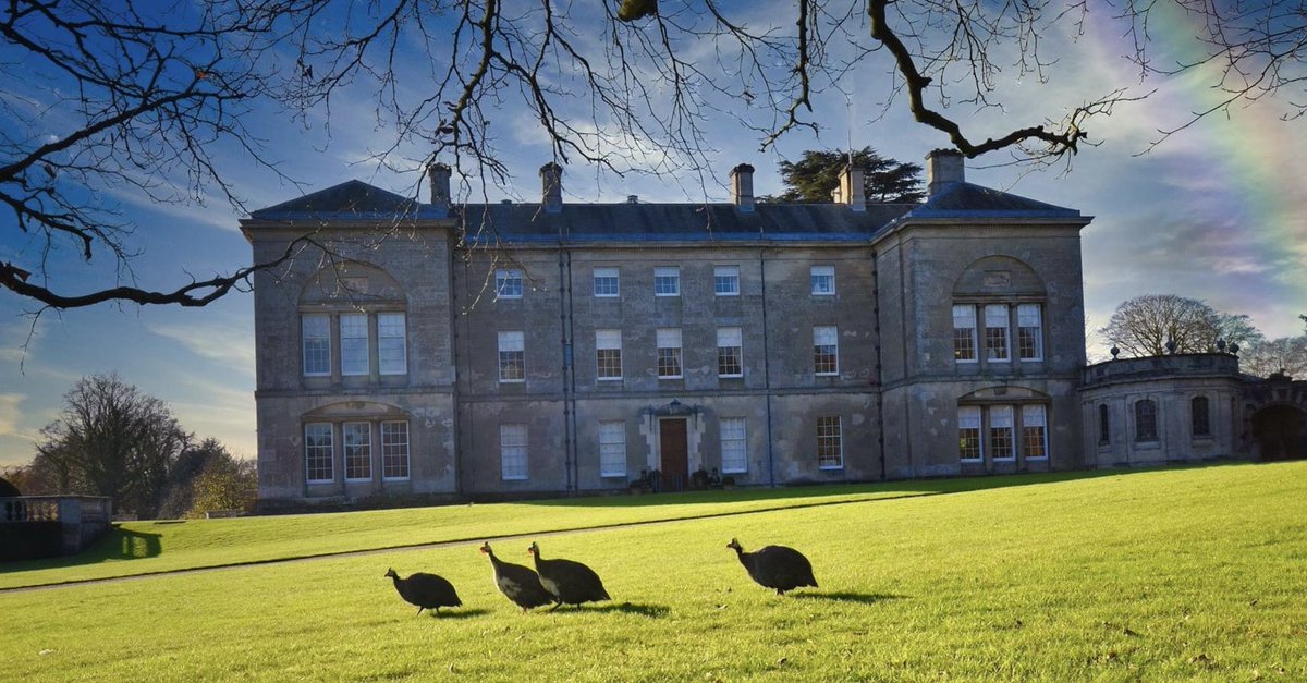 SledmereHouse's tweet image. Our beautiful guinea fowl are always on guard, wandering the grounds.

#Sledmere #SledmereHouse #Yorkshire