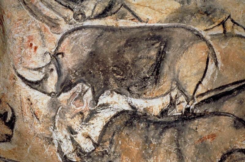 Chauvet Cave in the Ardèche was discovered in 1994. It contains more than sixty images of the woolly rhinoceros. The  #IceAgeArt at Chauvet is over 30,000 years old.